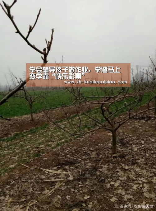 学会辅导孩子做作业,学渣马上变学霸“快乐彩票”(图3) 快乐彩票