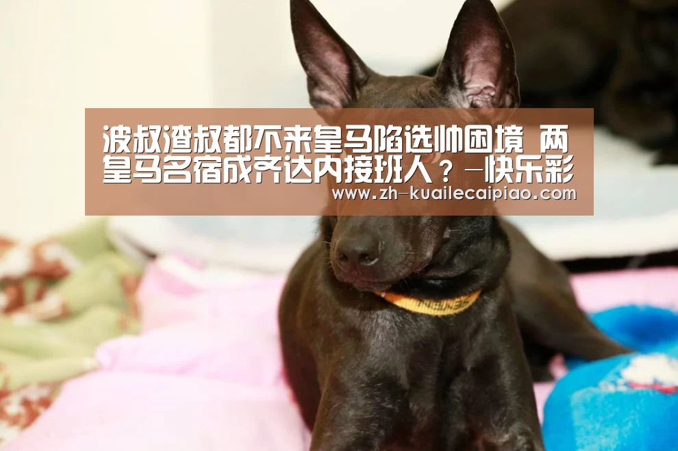 波叔渣叔都不来皇马陷选帅困境 两皇马名宿成齐达内接班人？-快
